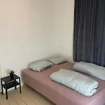 Lei Et Rom Midt I Sentrum 奥斯陆