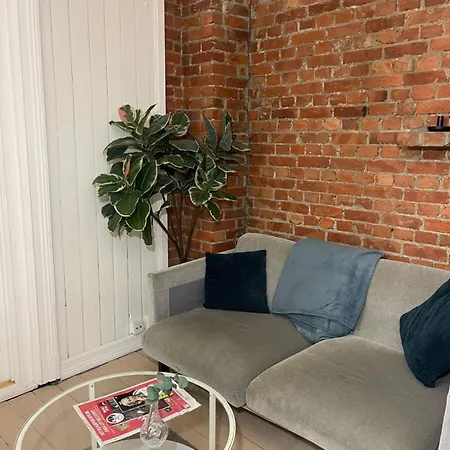 Lei Et Rom Midt I Sentrum Guest house